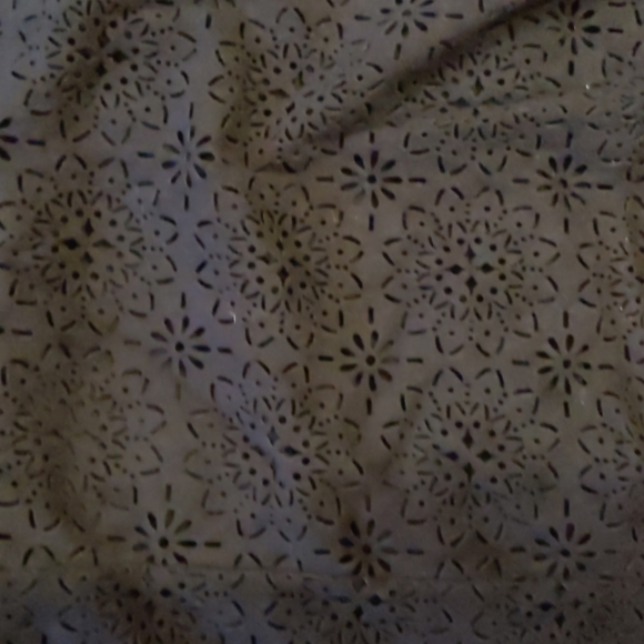 Altar'd State Skirt - Picture 2 of 2